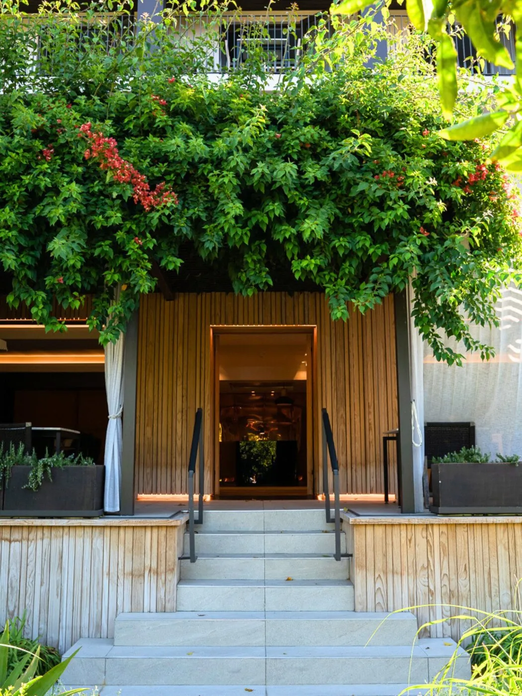 The entrance to Kensington Place, framed by bougainvillea